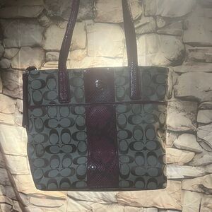 Coach Tan and Fuschia New with Coach card inside